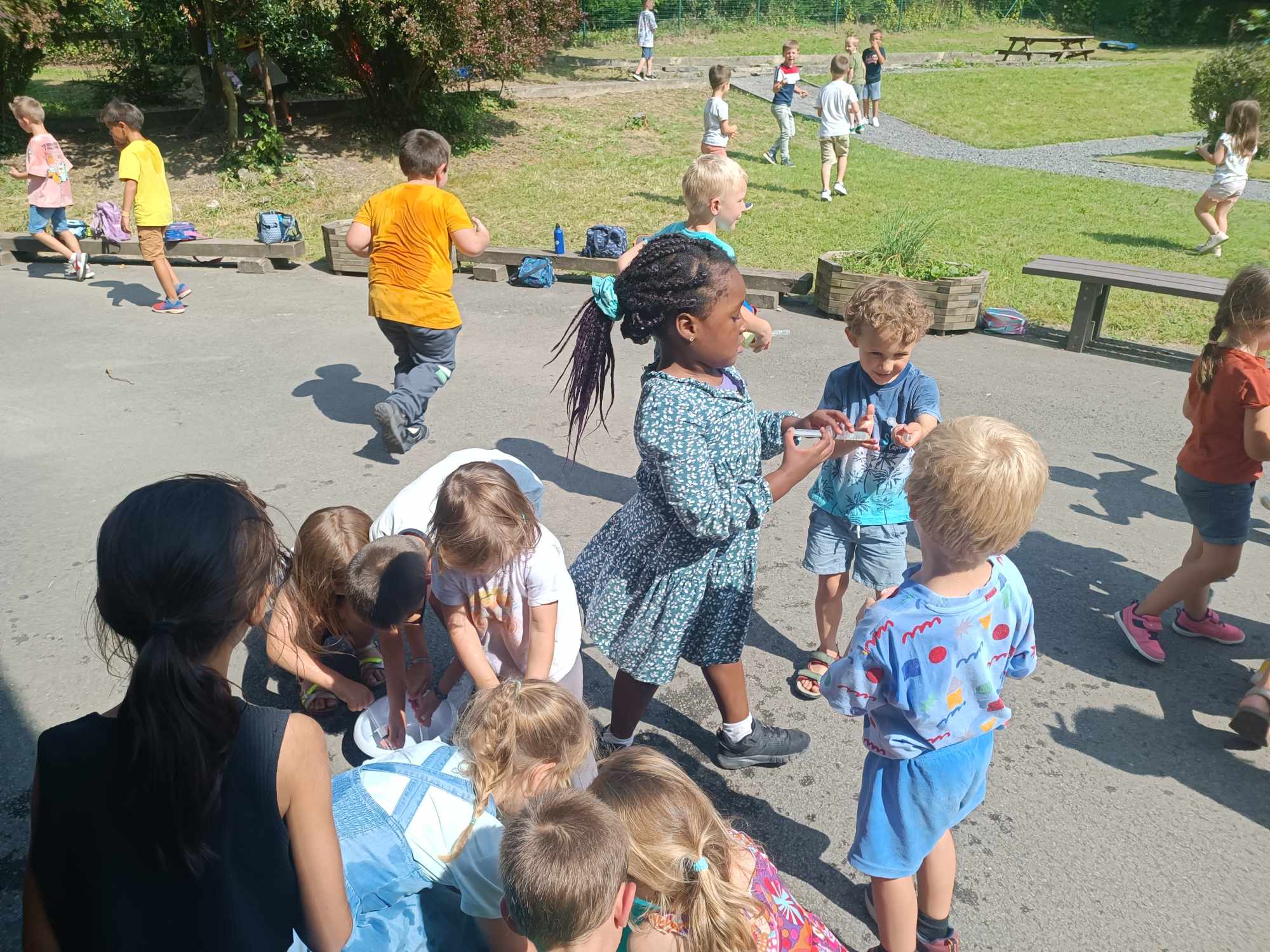 492859200 1235462541912801 5914154783467448671 n