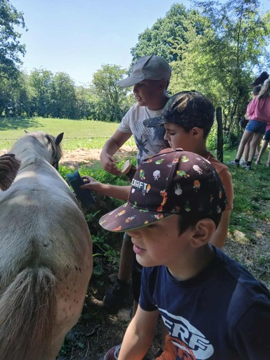 515356193 1295933339199054 4175609035719579751 n