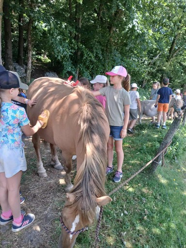 515356193 1295933339199054 4175609035719579751 n