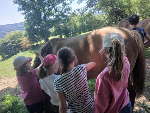 515356193 1295933339199054 4175609035719579751 n