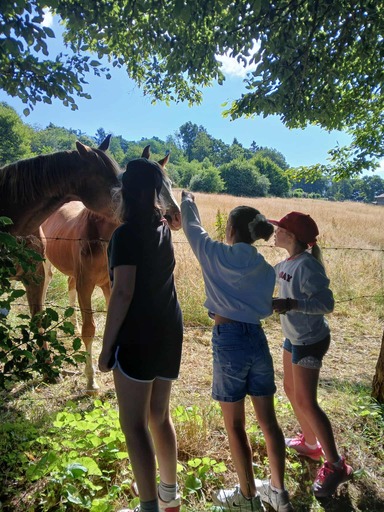 515356193 1295933339199054 4175609035719579751 n