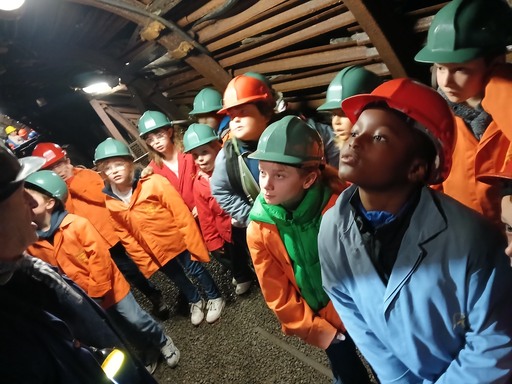 555782629 1371517334973987 1827037921983425781 n