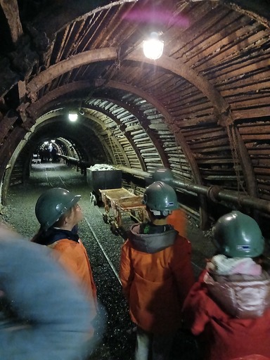 555782629 1371517334973987 1827037921983425781 n