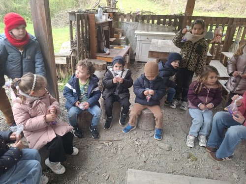 cao saint joseph remouchamps école fondamenale maternel primaire 3