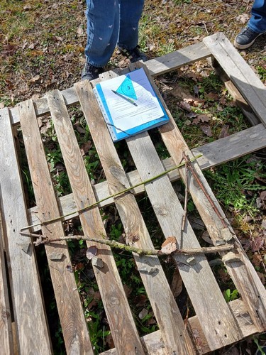 triangles saint joseph remouchamps école fondamentale maternel primaire 1